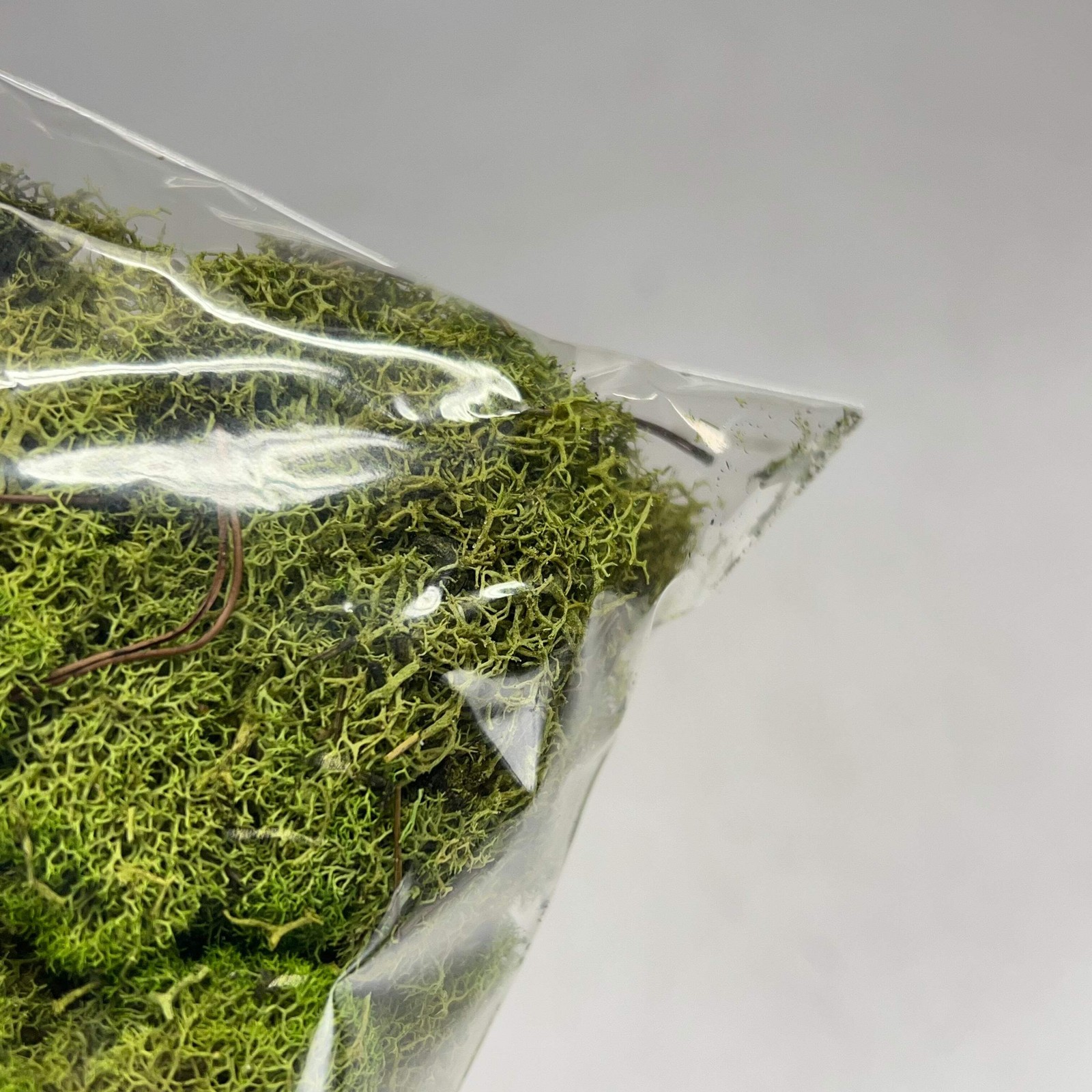 ASHLAND (6 PACK, 108.5 In³ Each) Naturals Reindeer Preserved Moss Green 284153