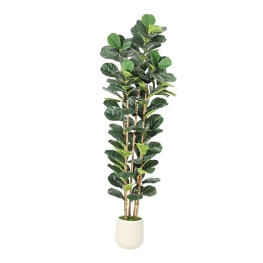 Artificial Fiddle Leaf Fig Tree with White Planter, Fake 6ft 11in Set of 1
