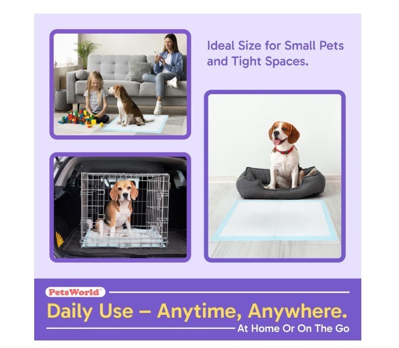 NEW Economy Value Puppy Training & Potty Pads 23×36 inch 300 Count FREESHIPPING