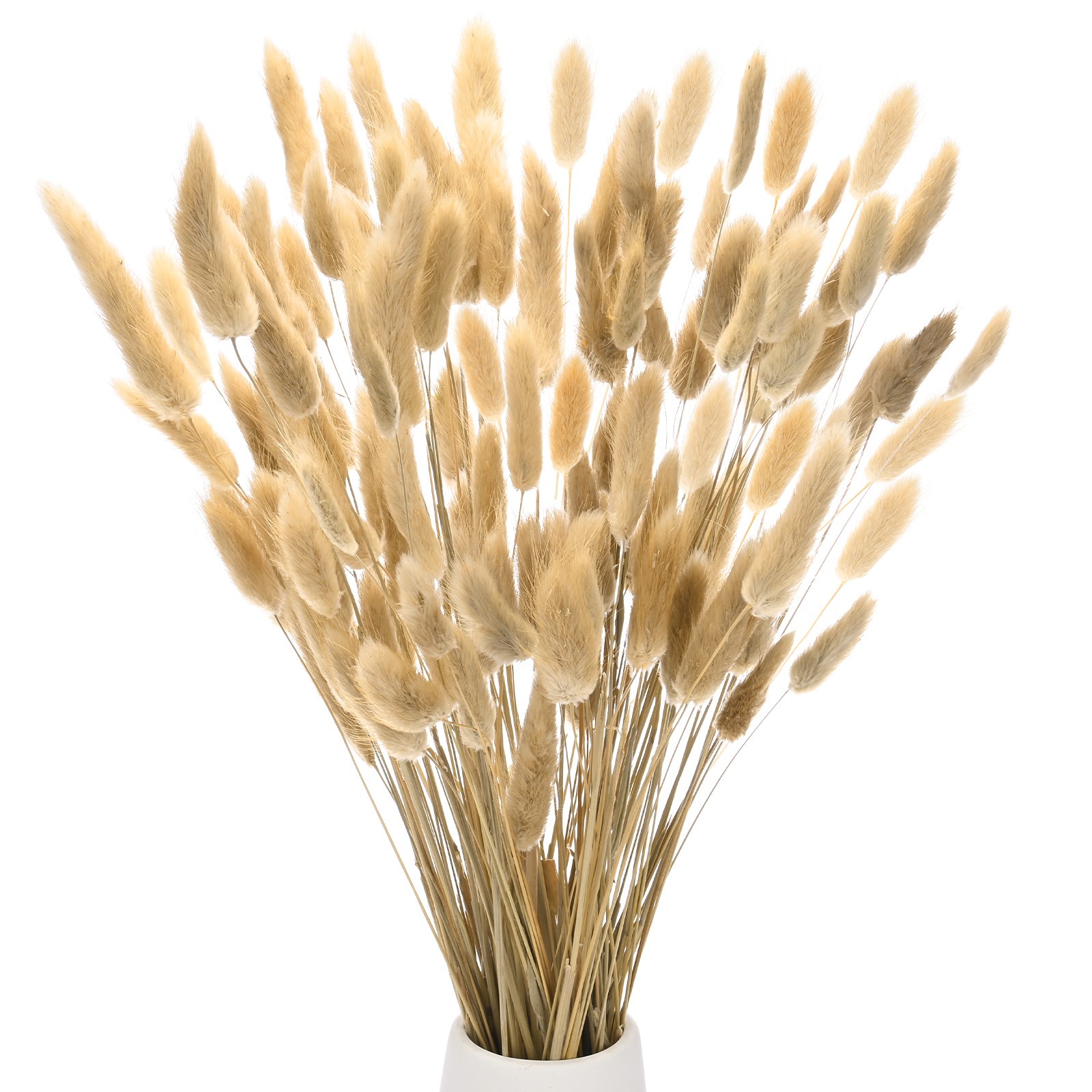100-Pack Bunny Tails Grass 17 Inch for Home Decor/Wedding [Natural]