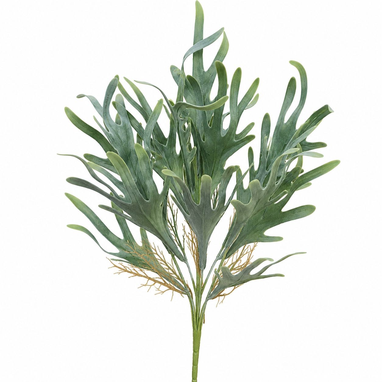 Artificial Staghorn Fern Spray Faux Fern Greenery Coastal Decor Tropical Decor F