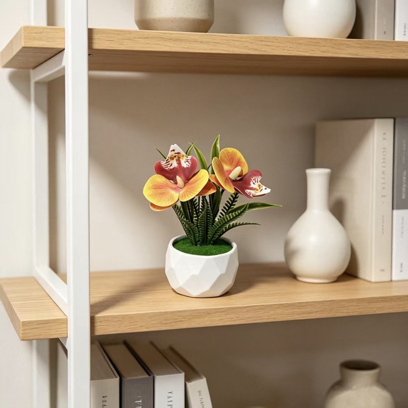 Non Fading Phalaenopsis Orchid Plant 4.92in for Year Round Indoor Decor