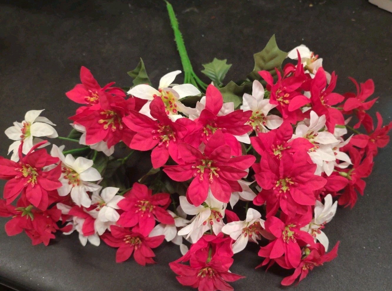 Big Bush with Small Blooms: Vintage Mini Poinsettia Red/White w/12 Stems, 15″