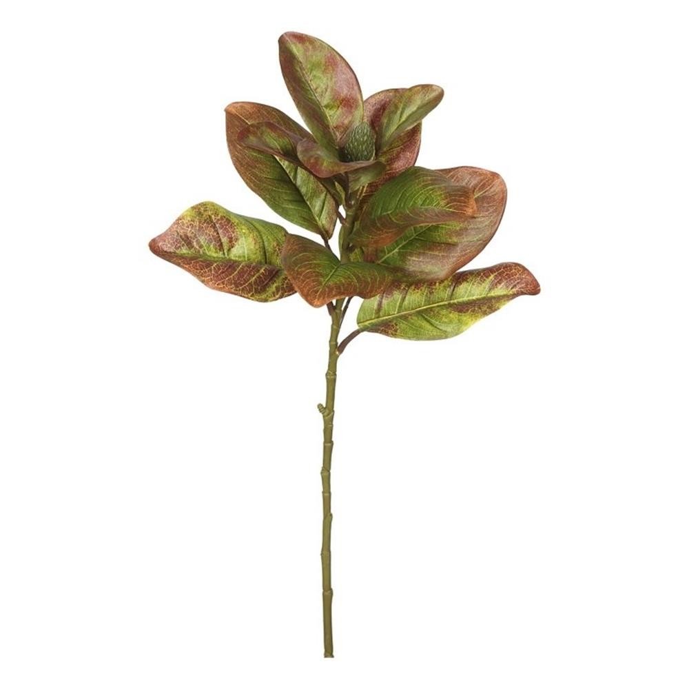 Vickerman 31″ Plastic Artificial Magnolia Leaves in Autumn Green (Set of 3)