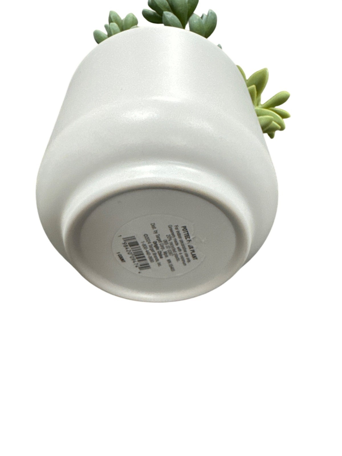 Threshold Artificial Succulent Plants In White Ceramic Pot For Home & Office Dec