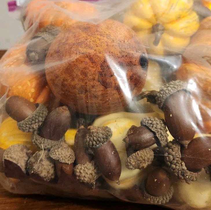 Great Lot of Decorative Fall Autumn Pumpkins Acorns Berries Bowl Vase Filler
