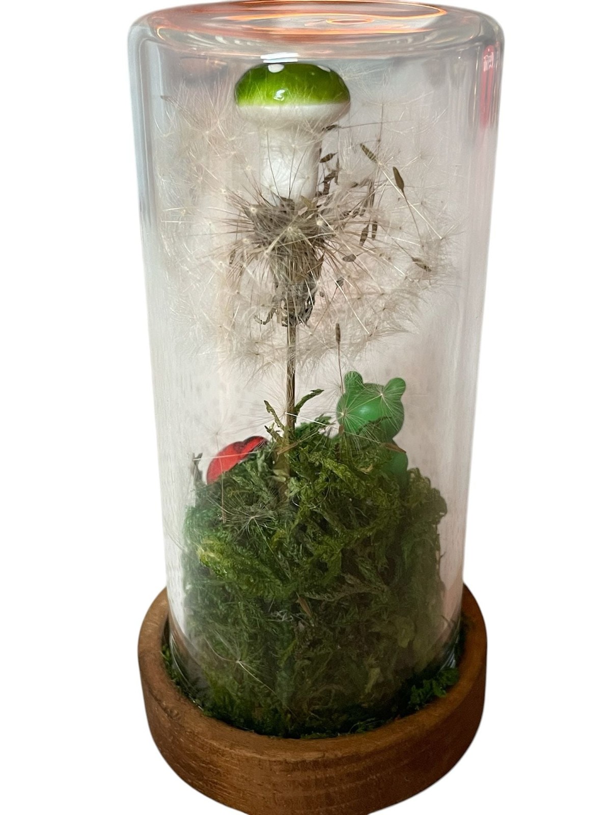 Preserved Dandelion and Mushroom Glass Dome Terrarium with Frog and Ladybug