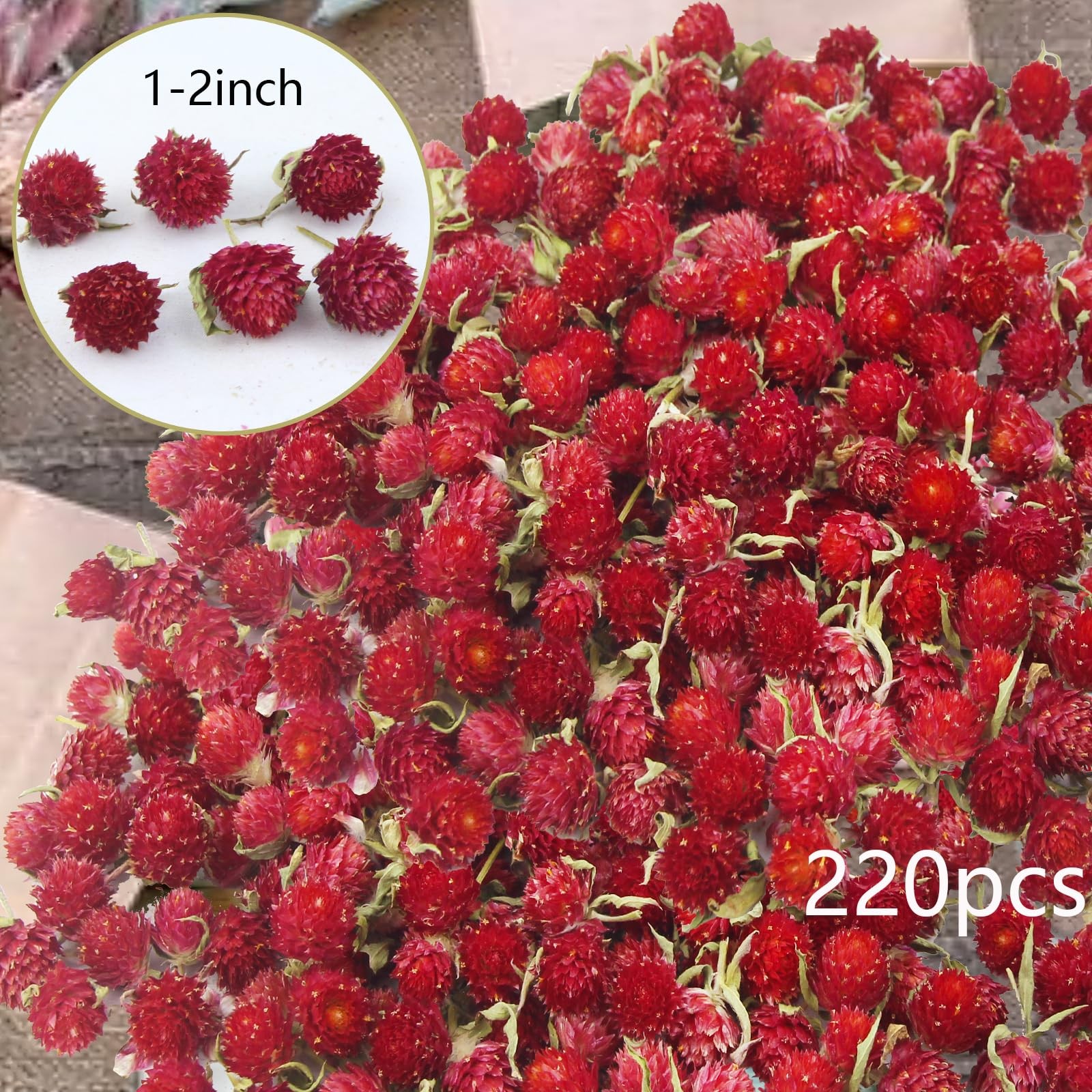 220 Pcs Red Globe Amaranth Dried Flowers Heads, Gomphrena Globosa, Crafts, DIY