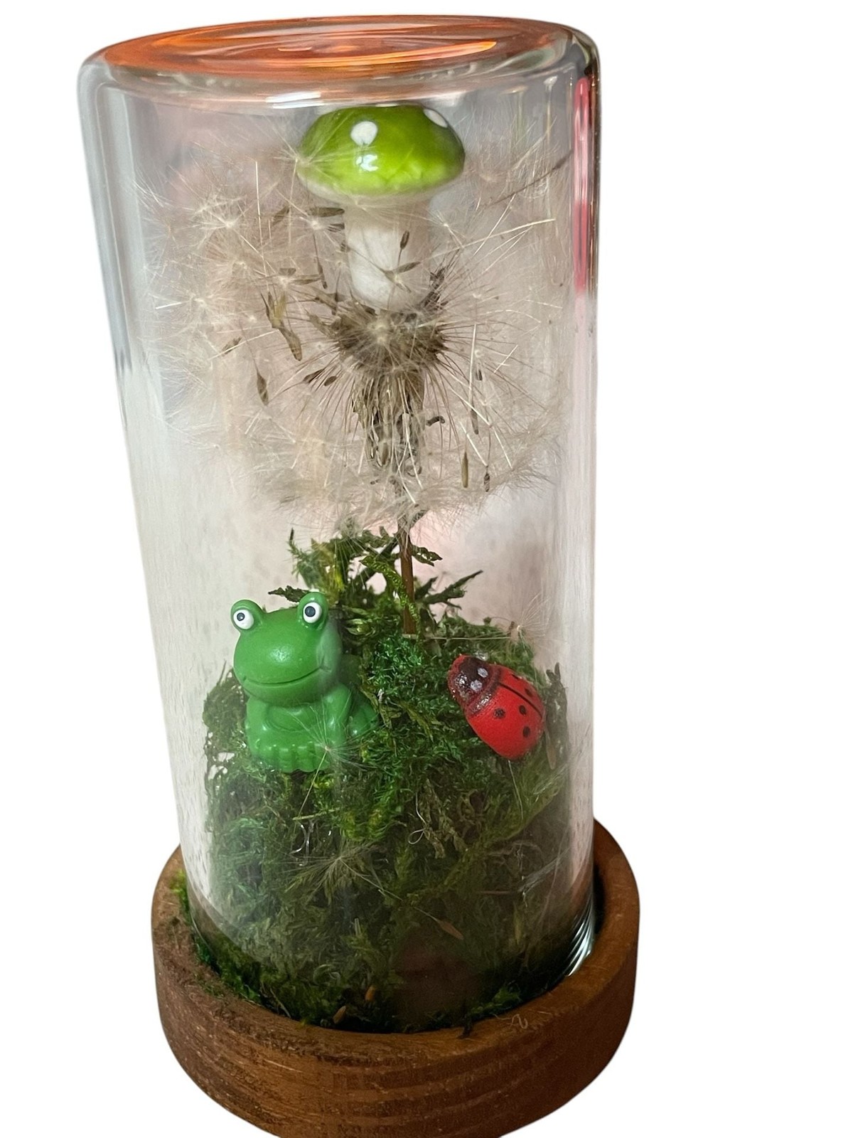 Preserved Dandelion and Mushroom Glass Dome Terrarium with Frog and Ladybug
