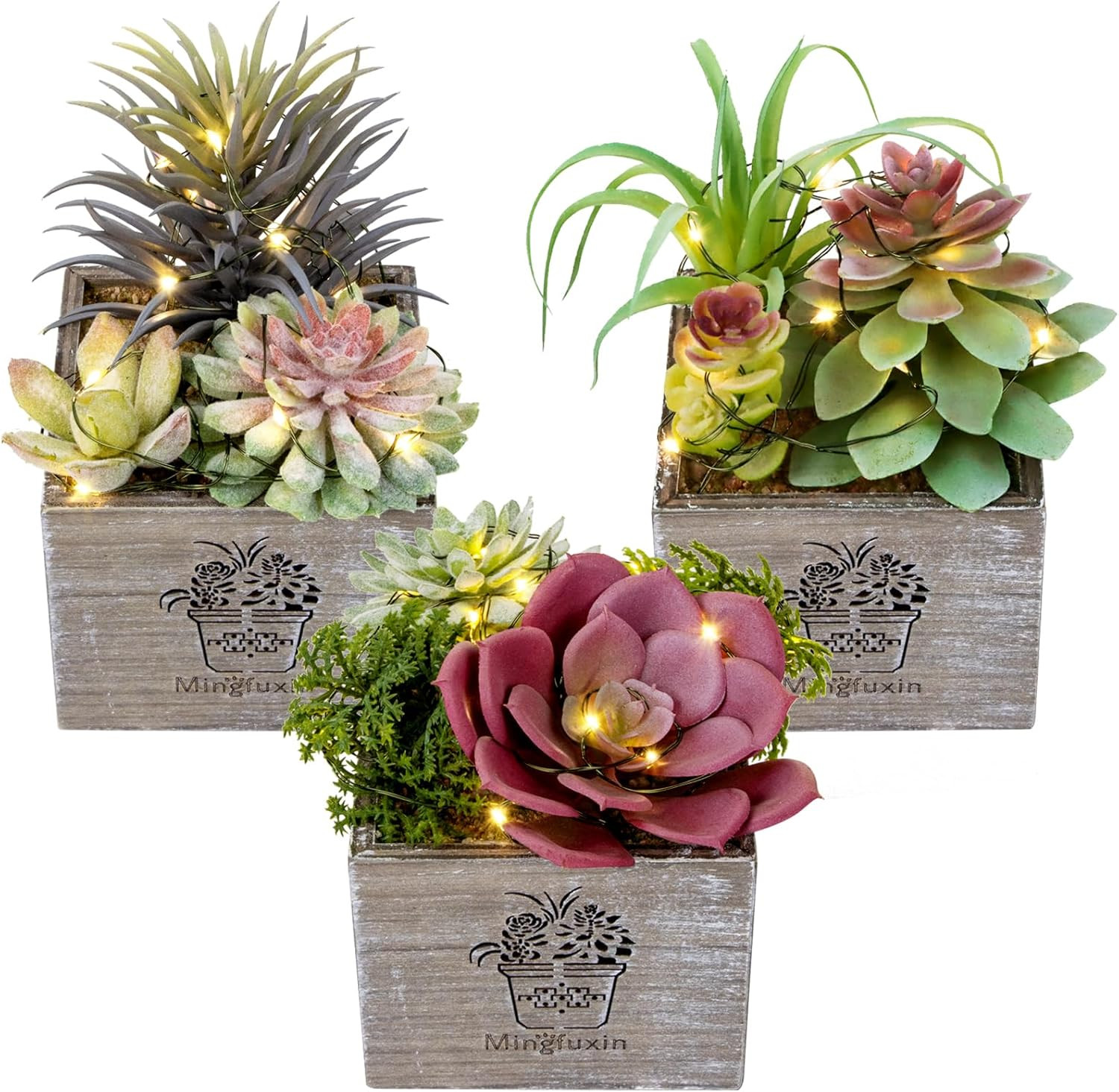 Mini Succulent Plants with LED Lights – 3 Pack for Home & Office Decor