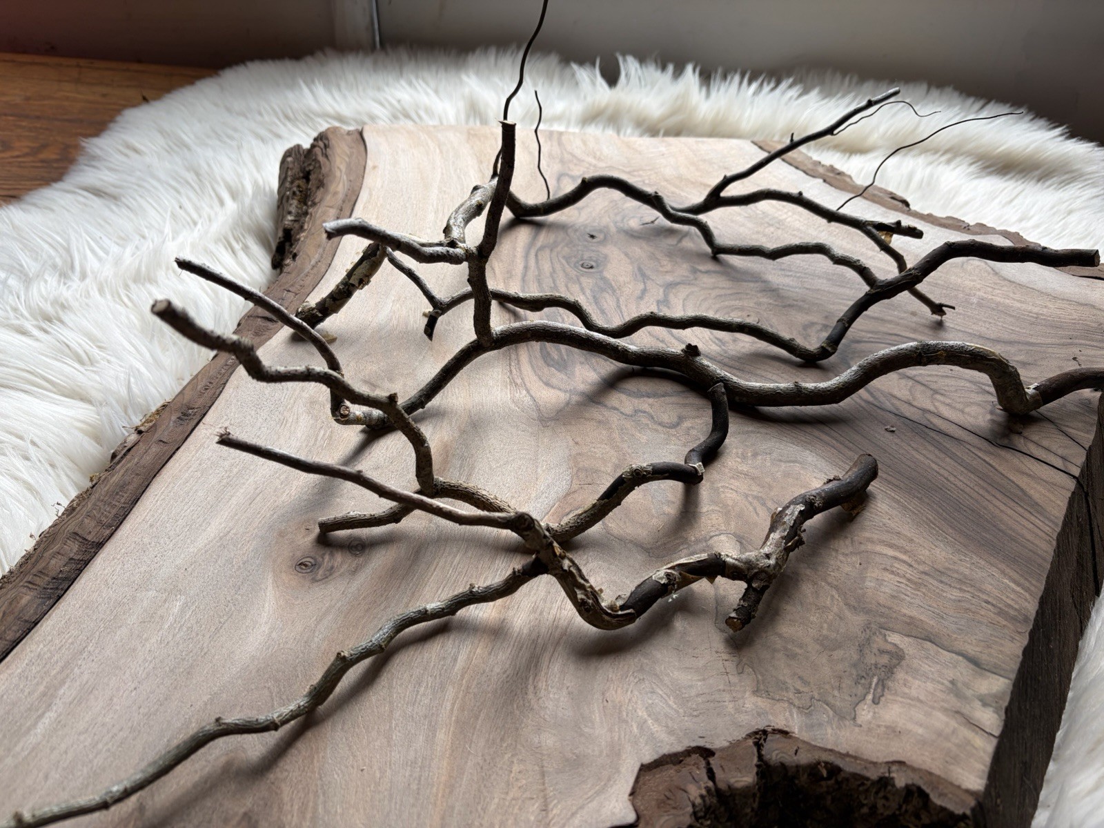 Dried Corkscrew Willow Branches for Home Decor