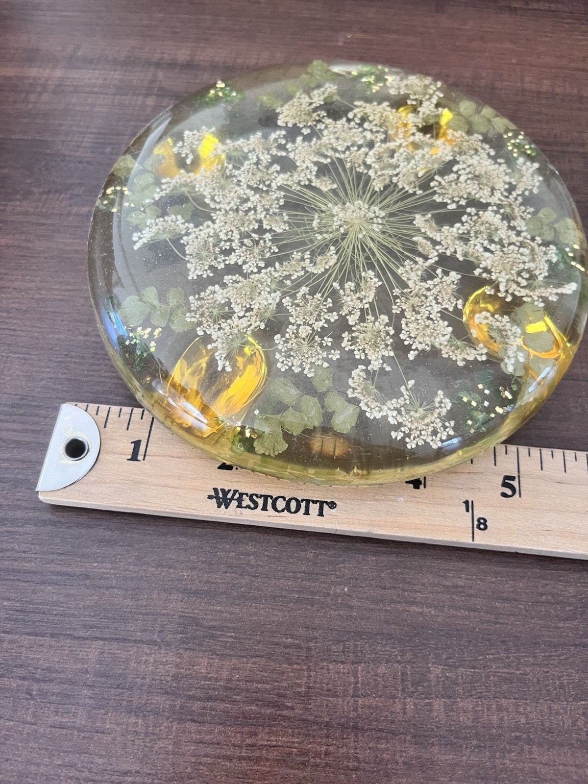 Vtg MCM 70’s retro lucite trivet hot pad Coaster dried pressed flowers Set Of 2