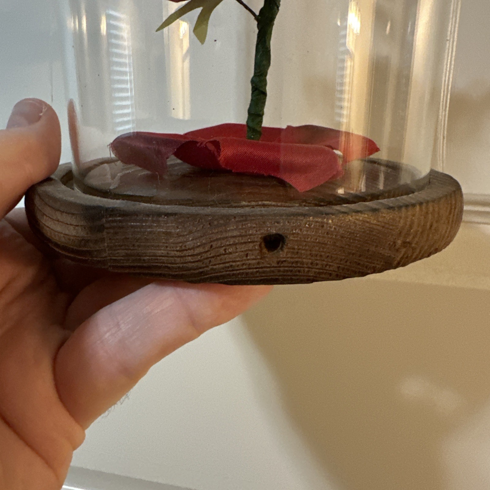 Rose In Glass Flower Dome Wood Base Pre-Drilled for Lights Beauty & The Beast