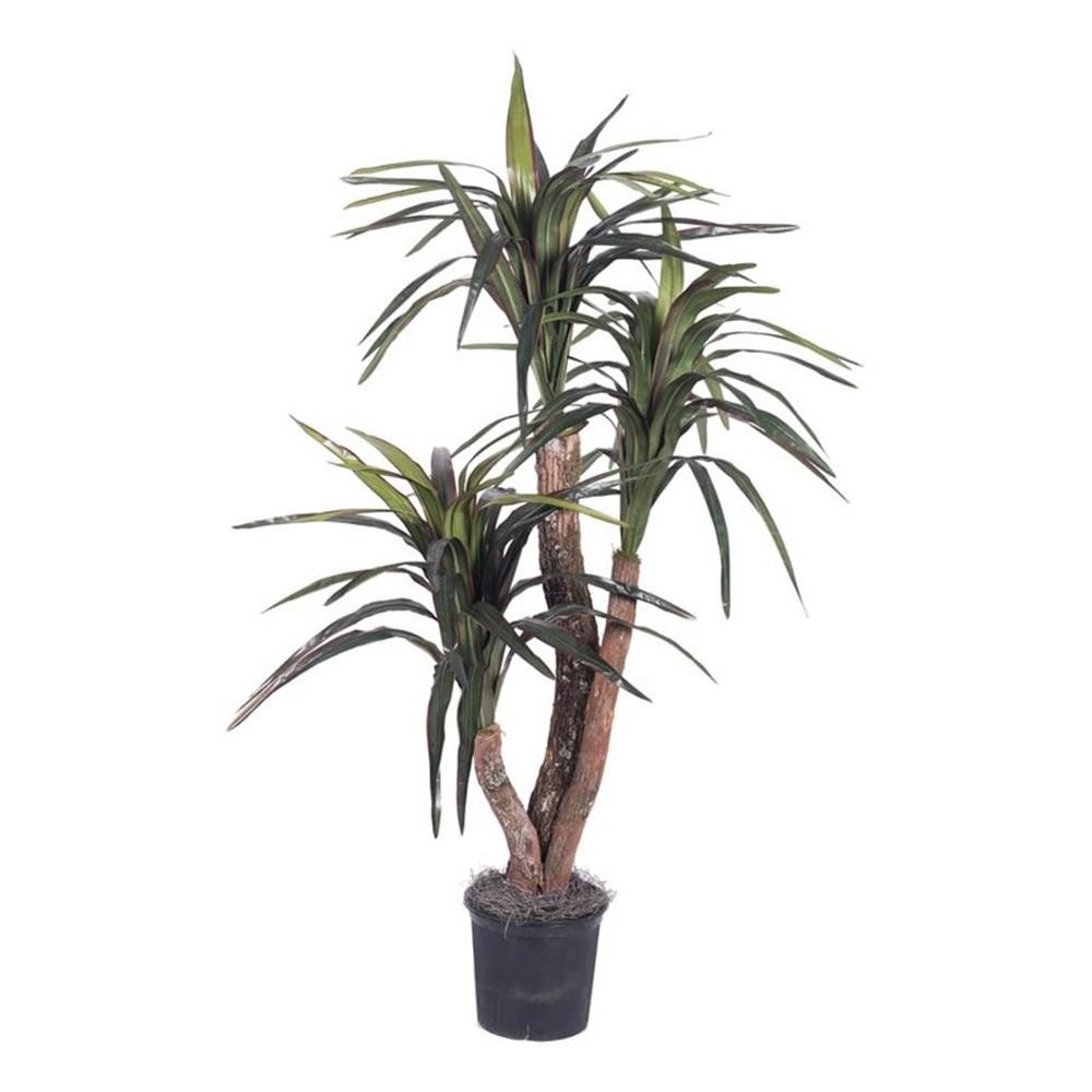Vickerman 4′ Artificial Marginata Extra Full Bush with Black Pot in Dark Green