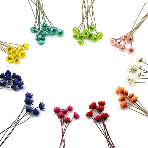 MLSG 100 Stems Natural Dry Flowers Brazilian Small Star Daisy Decorative Dried