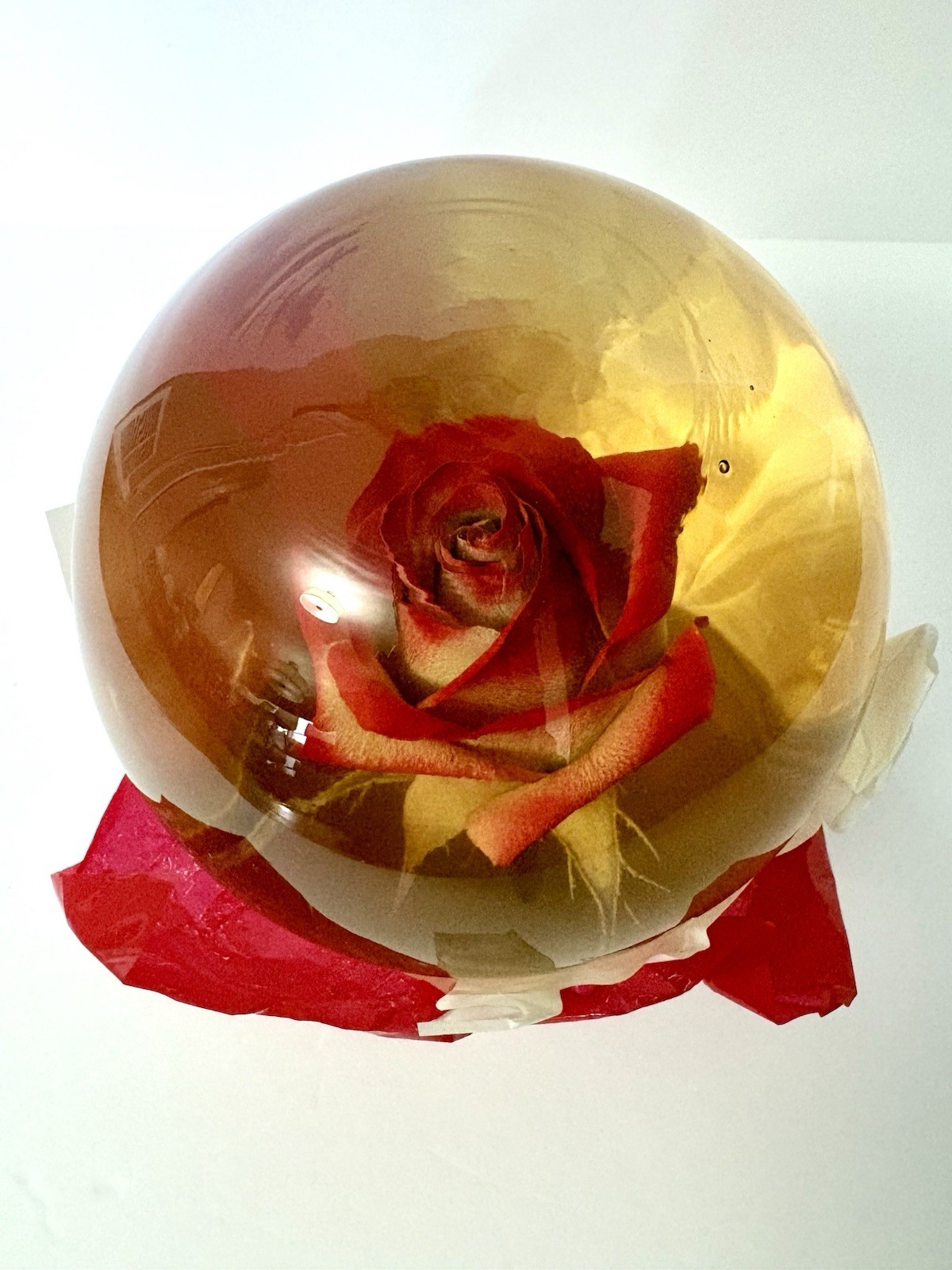 Vtg Forever Red Rose Preserved in Glass Water Globe Romantic Retro Gift Decor 7”