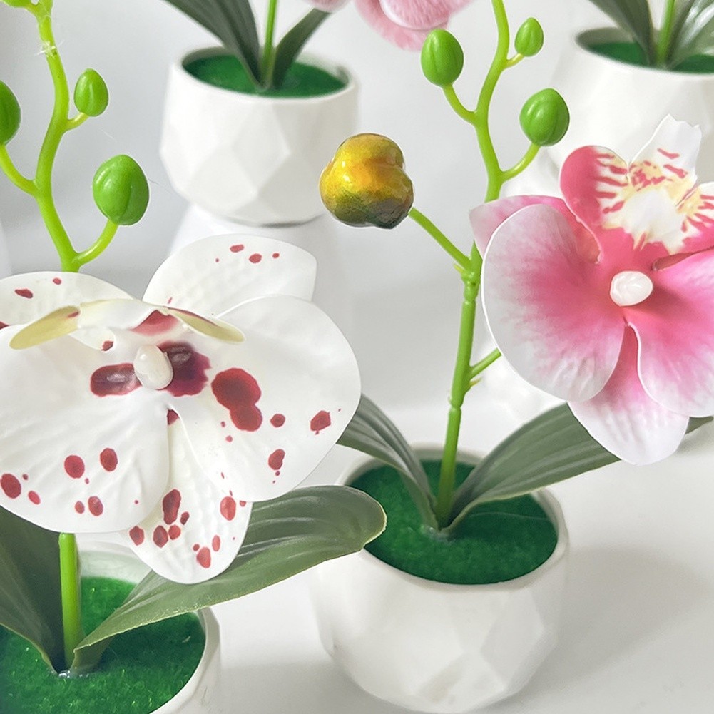 Phalaenopsis Floral Reproduction in Diamond Designed Pot for Contemporary Space