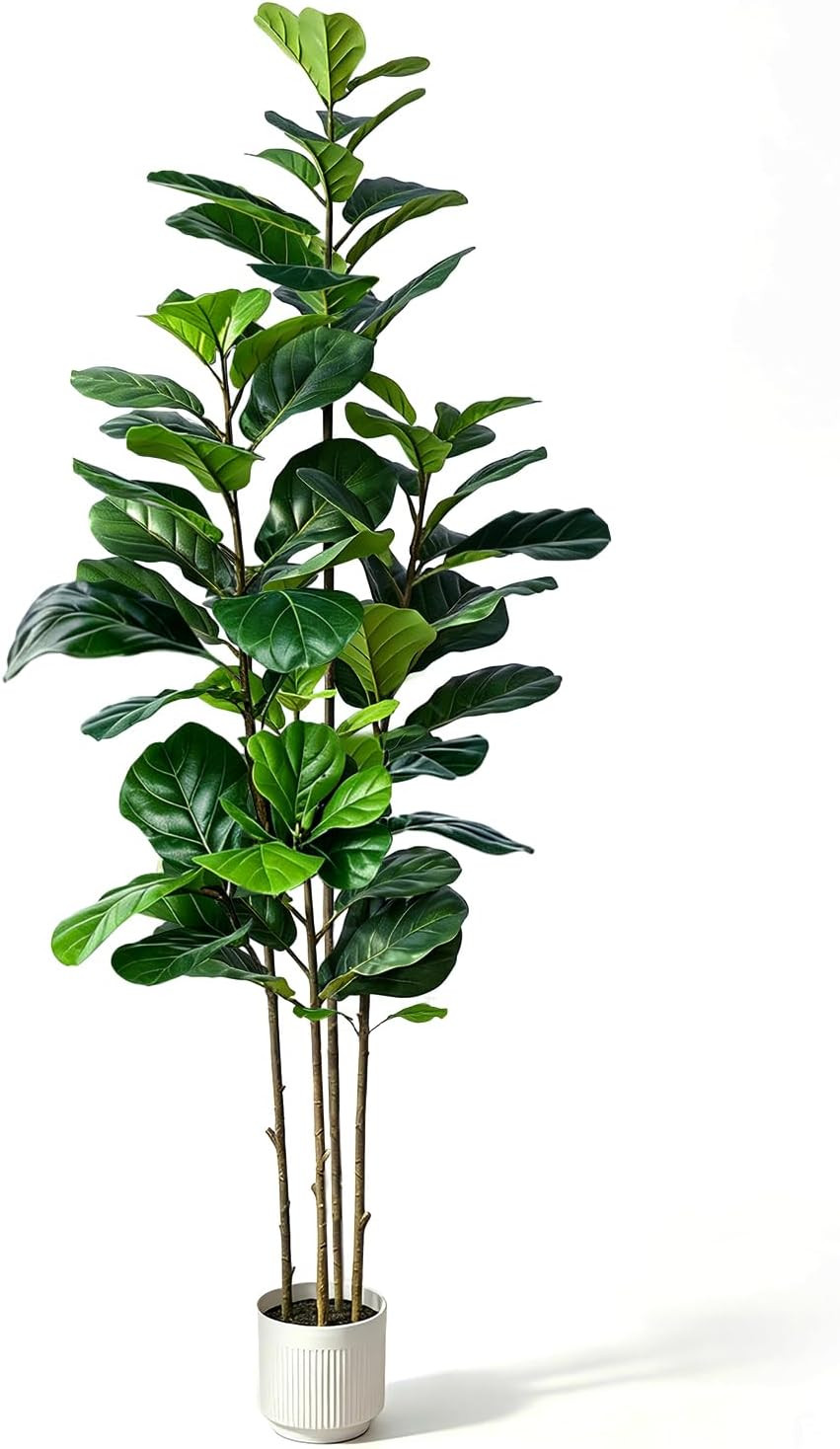 6FT Artificial Fiddle Leaf Fig Tree Four-Trunk, Large Faux Ficus Tree with White