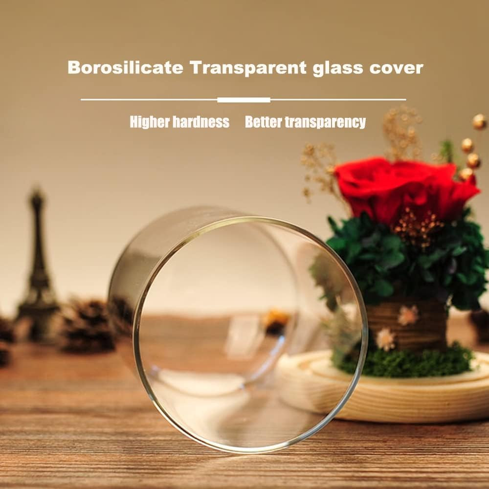 Eternal Rose Gift Set in Glass Dome – Red | Preserved Rose with LED Light | Vale