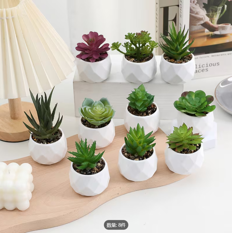 Assorted Faux Succulent Plant 10 pc Set – Artificial / Fake Realistic Indoor