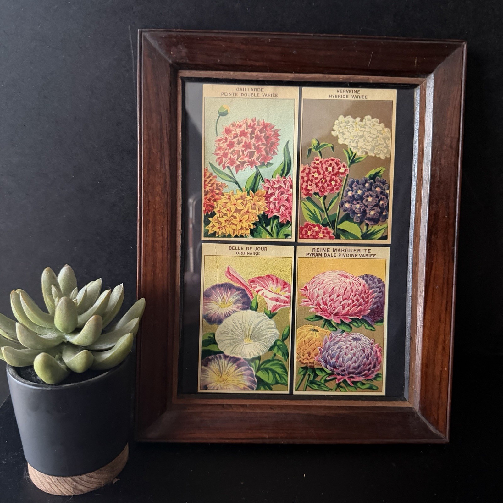 Vintage French Seed Packet Labels Framed Botanical Wall Art Wood Frame