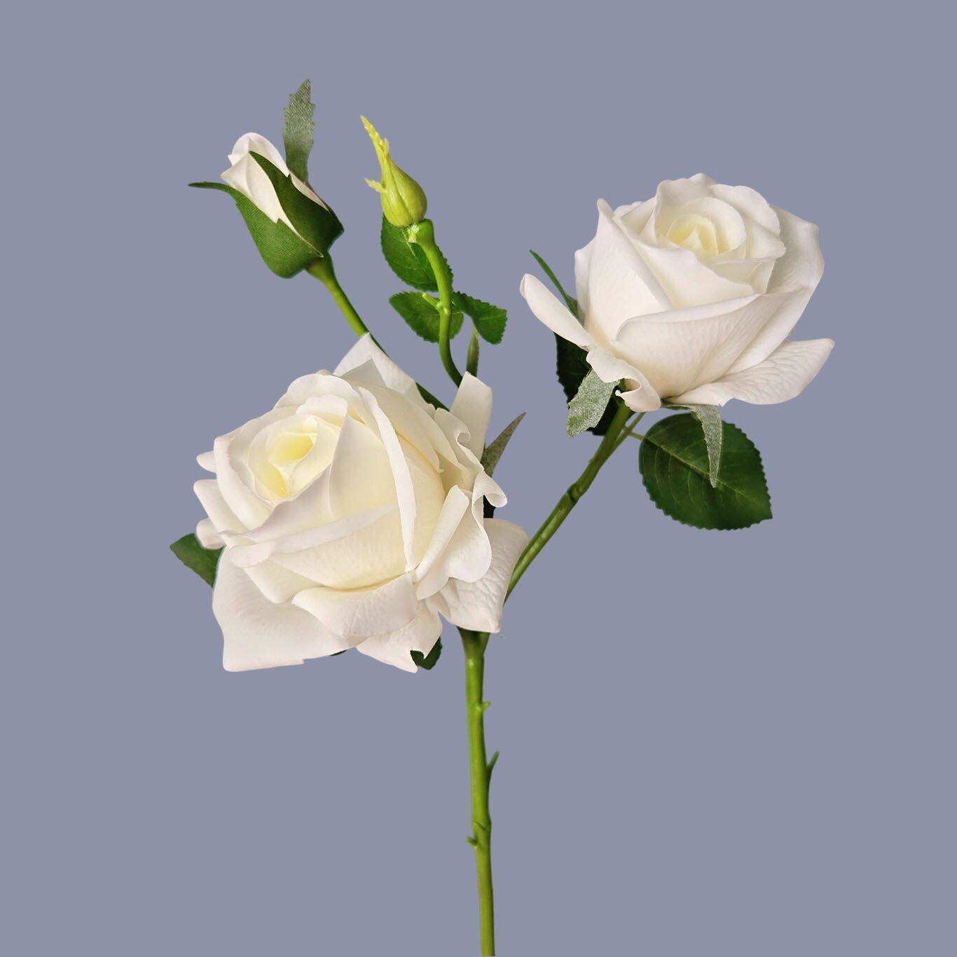10pcs Artificial 3-Head Roses – Each Stem Features 2 Full Blooms and 1 Bud.Gift