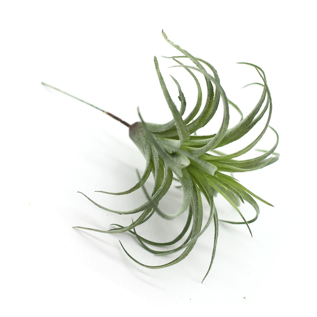 2PCS Artificial Flocking Tillandsia Air Plants Faux Succulents Bromeliads for…