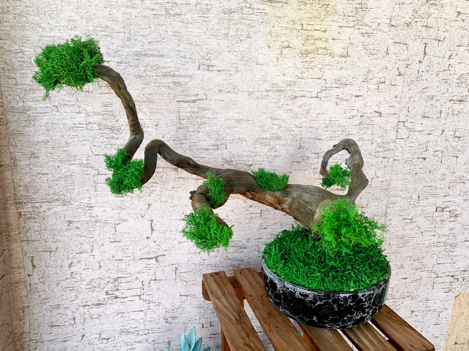 Ceramic Vase Tree Moss Art,Real Tree Branch, Handmade Home Decor, Nature Decor