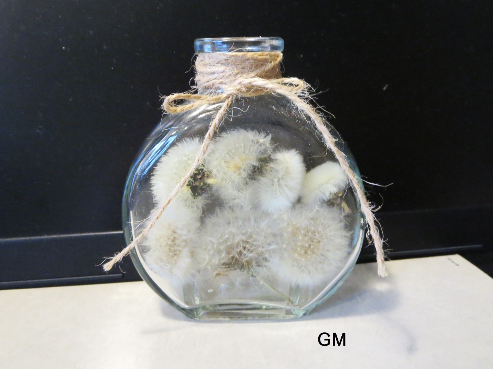 Dried Dandelion Art Dandelion Flower For Craft Dried Flowers decor Dandelions
