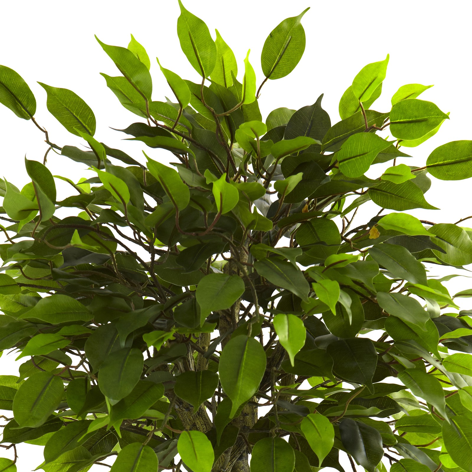 Nearly Natural 3ft Ficus Tree UV Resistant (Indoor/Outdoor) in Green