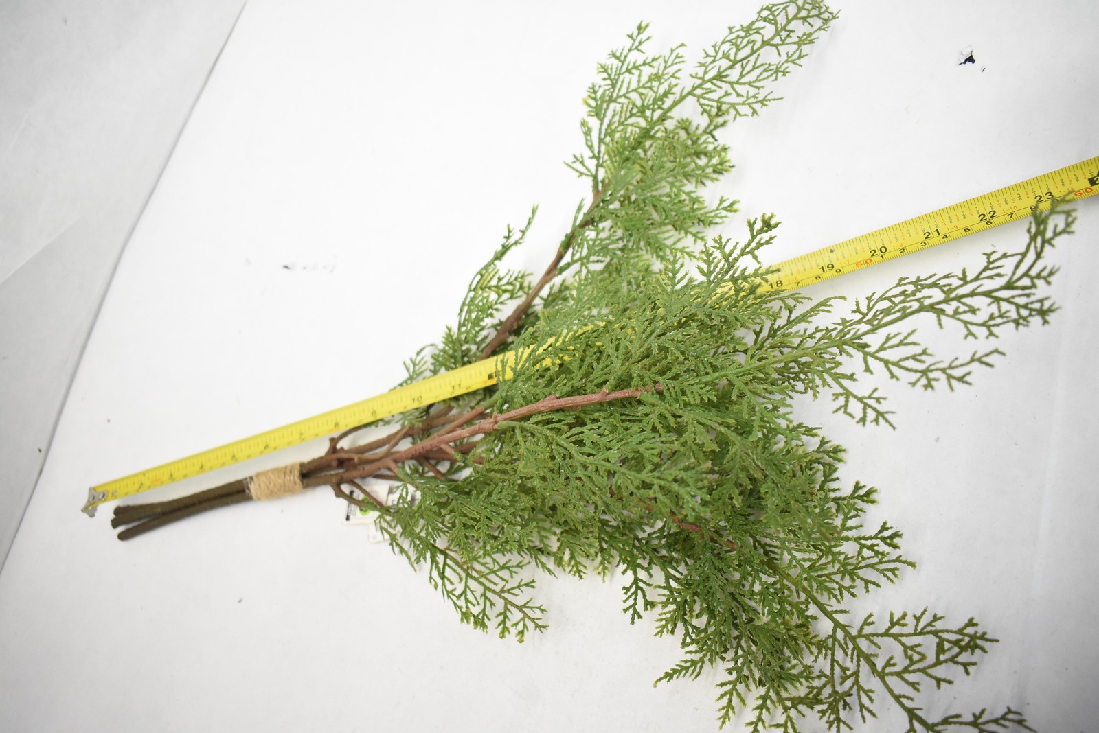 West Elm Artificial Greenery Faux 18″ Pine Branch Houseplant Branch Stem
