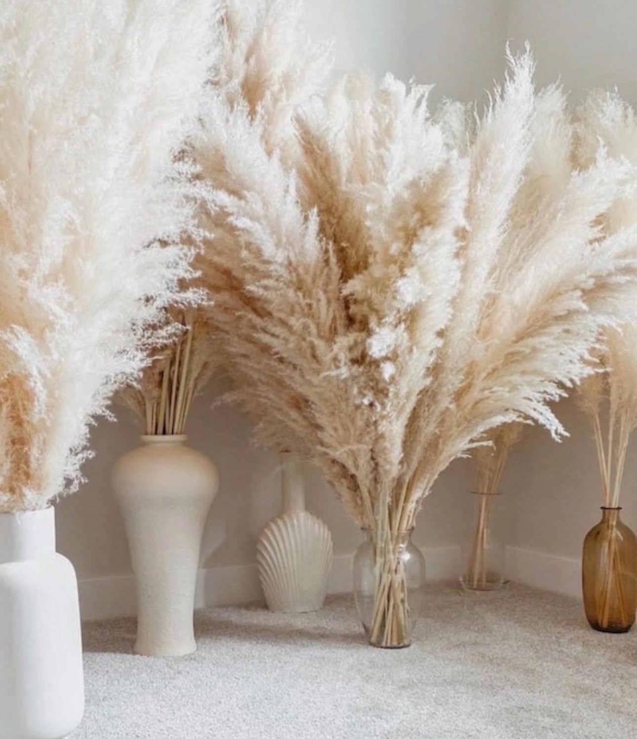 XL Pampas Grass 48”Inch 10 Stems Natural Decor Tall Boho Home Wedding