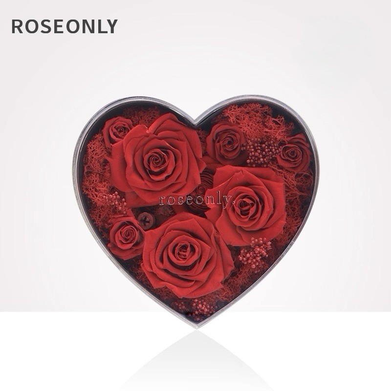 Red Eternity Rose Brand New Valentine Gift