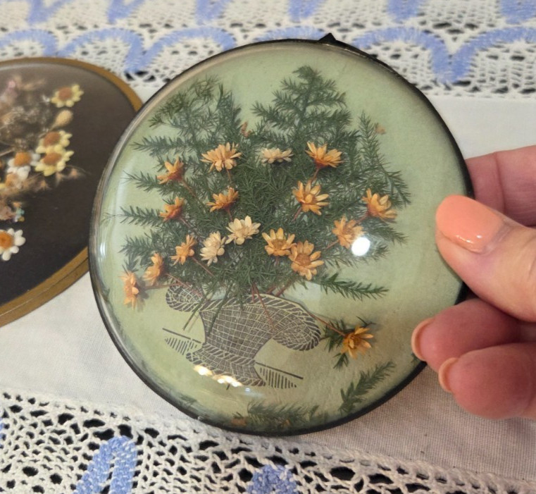 Vintage Domed Bubble Glass Real Dried Flowers in Brass Frame Lot of 2
