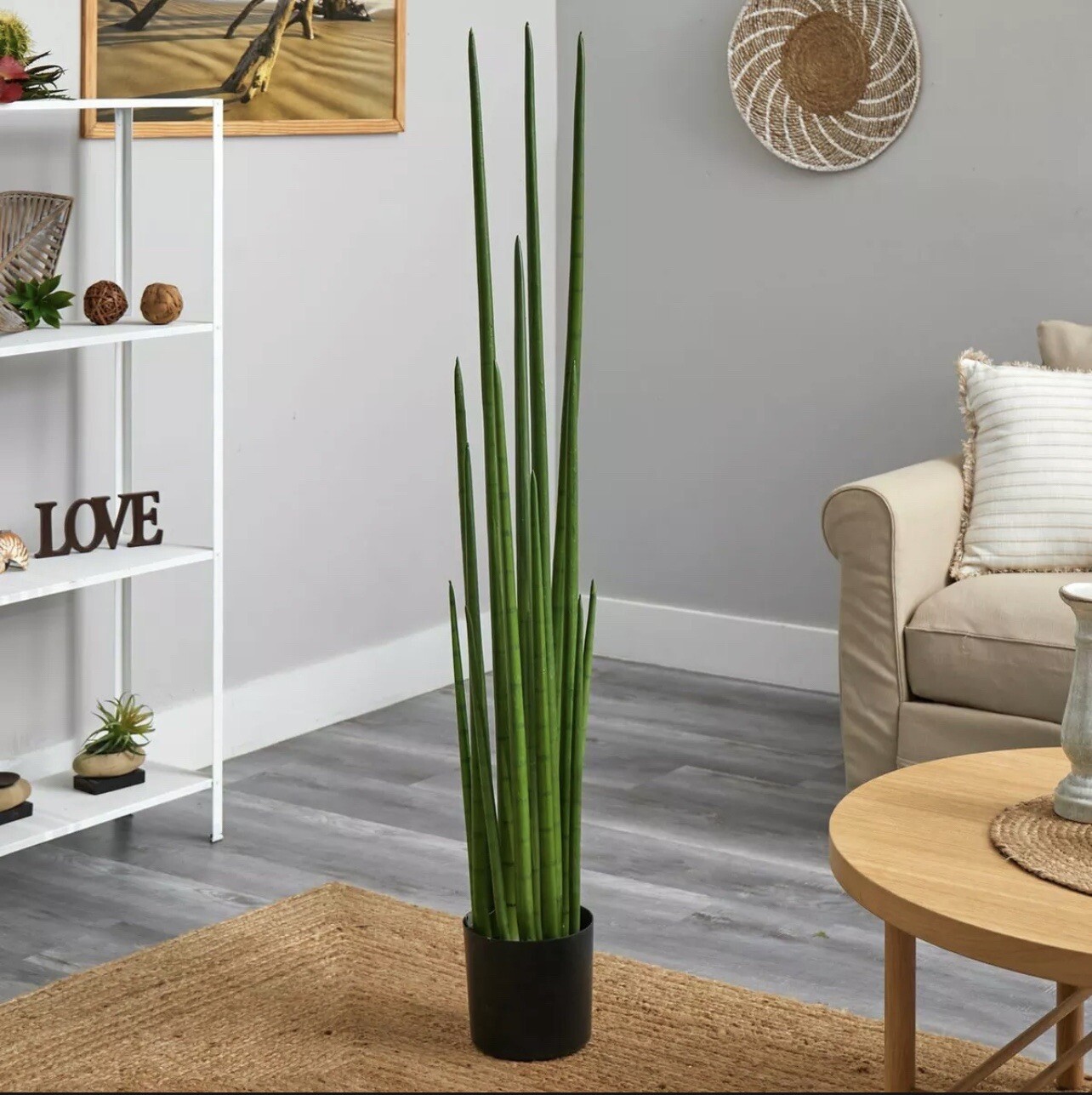 5′ Sansevieria Snake Artificial Plant (Real touch) Home Decor. Retail $303