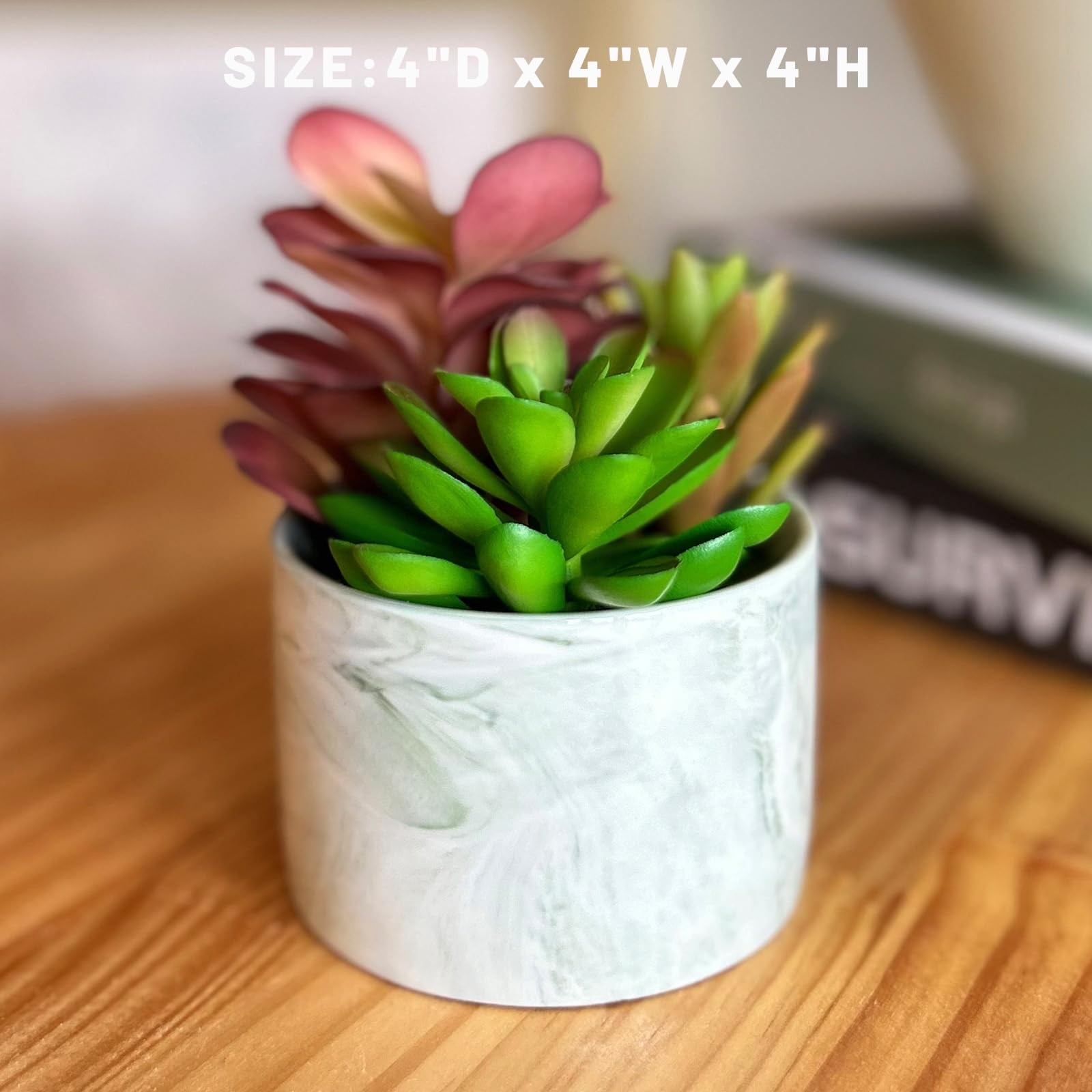 Artificial Plants Cute Colourful Succulents in Ceramic Planter Fake Plant Flower