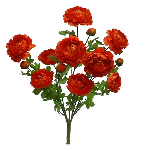 Ranunculus Bush 5 Stems 22in Orange