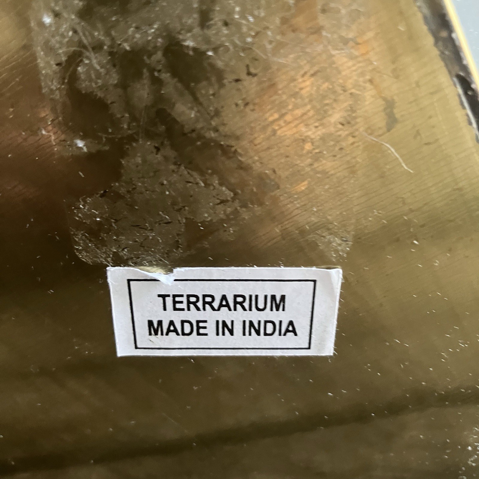 Gold Metal Mirror Glass Geometric Succulent Terrarium 6” India