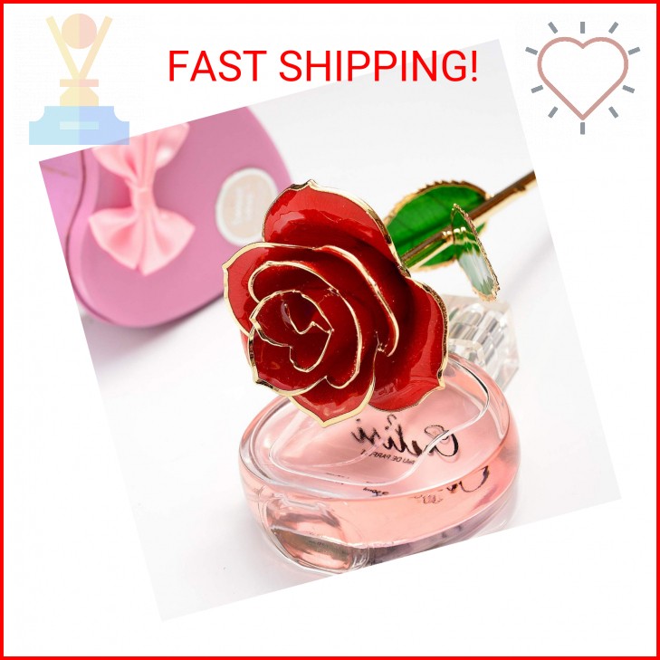 MNIEYU Gold Rose 24K Plated Gold Dipped Rose, Forever Preserved Red Rose Flowers
