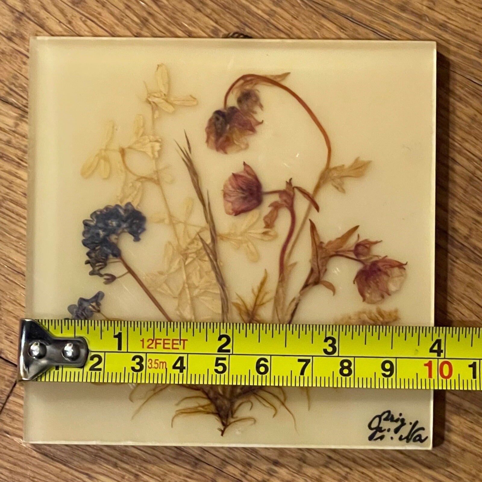 Dina Acrylglass Handmade Natural Dried Flower Germany Bavarian Alps Wall Hanging