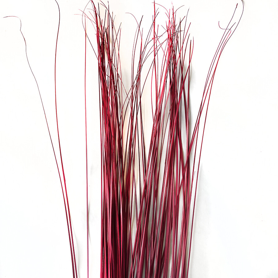Wispies Pack of 100 Stems 4ft Red