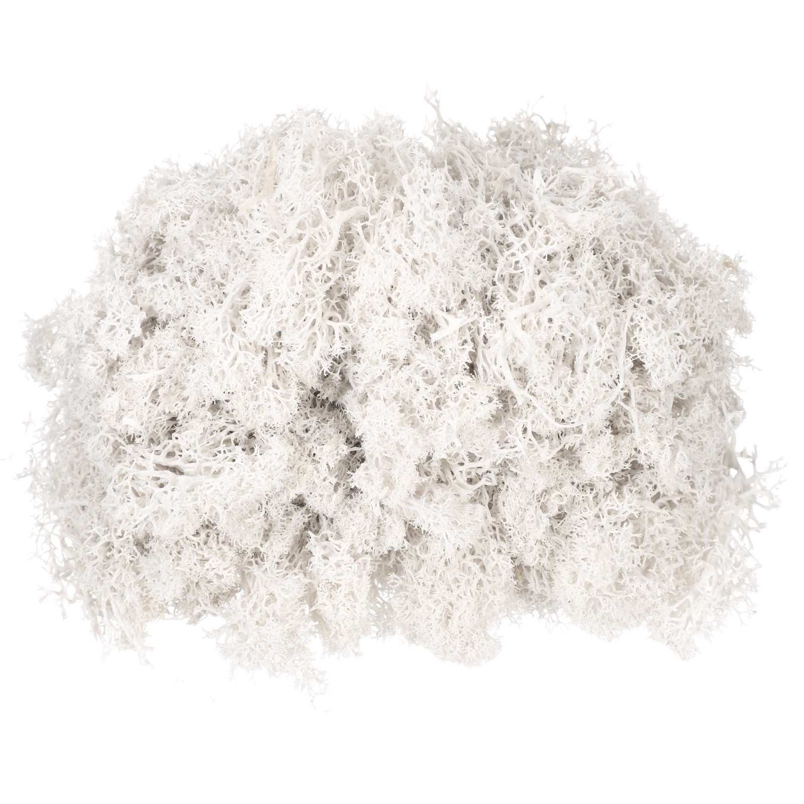 4.6oz Preserved Reindeer Moss, White Decorative Artificial Fake Moss