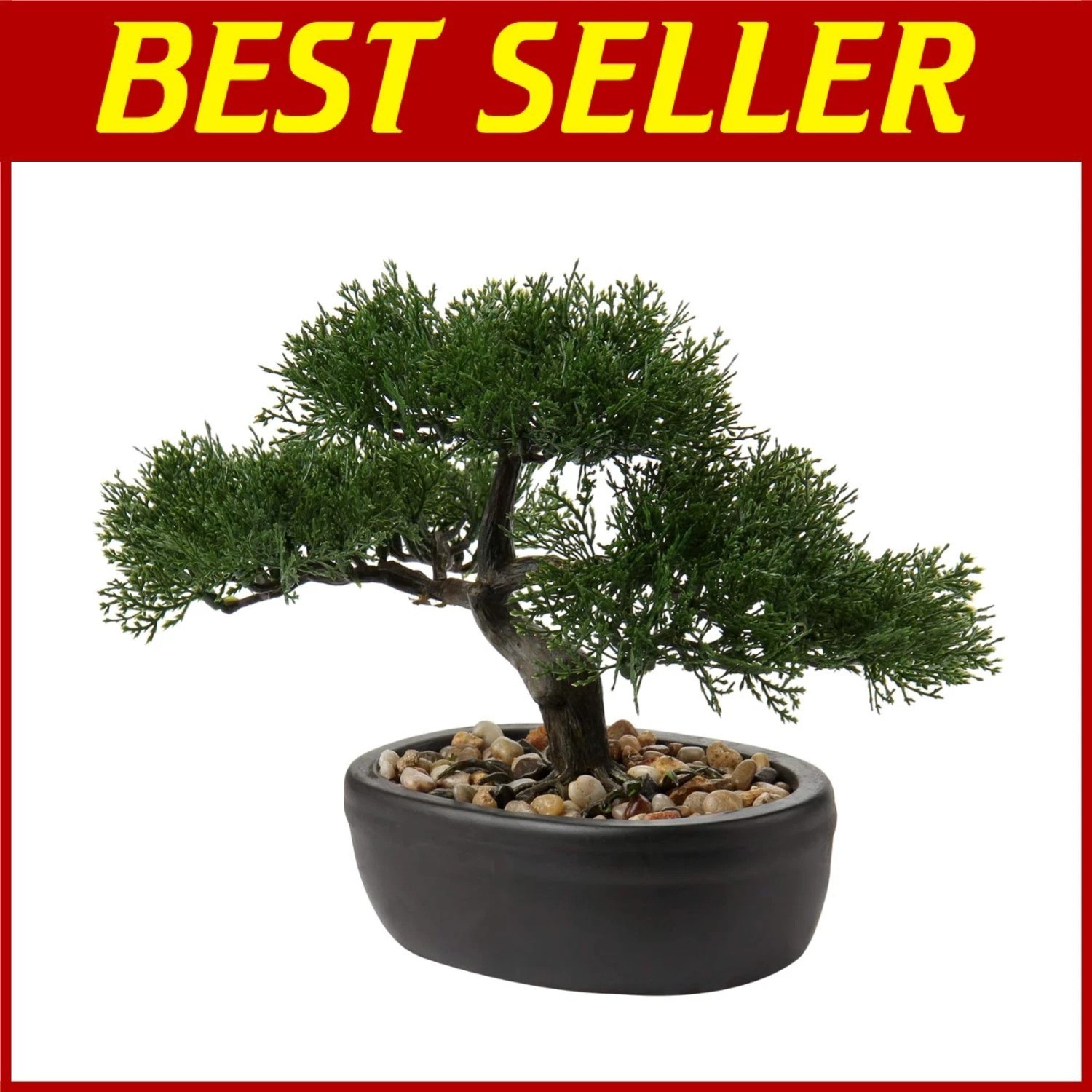 Indoor Mini Bonsai Tree with Ceramic Pot^-“