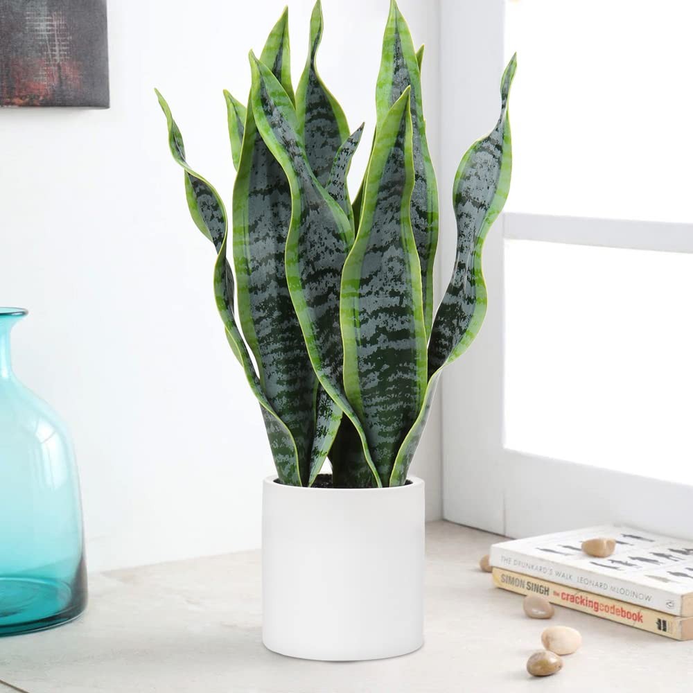 19″ Artificial Snake Plant in White Ceramic Pot with Solid Wood Stand Faux