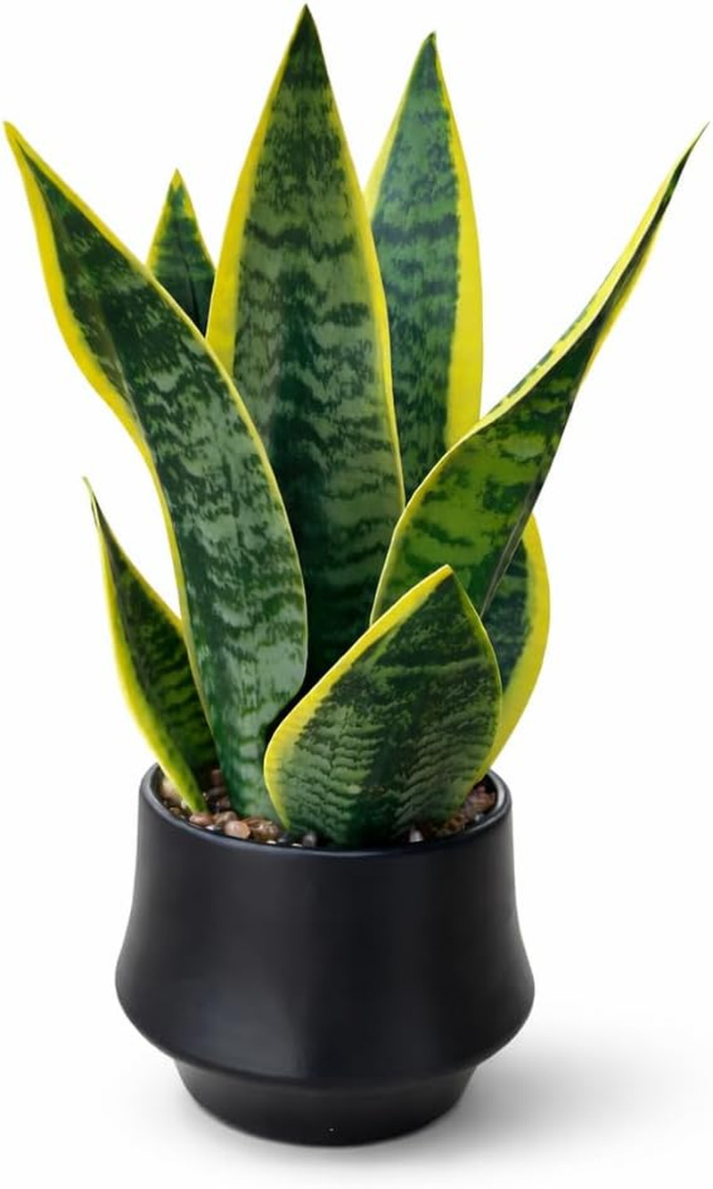 Realistic Artificial Snake Plant 15″ in Ceramic Pot – Faux Sansevieria Indoor De