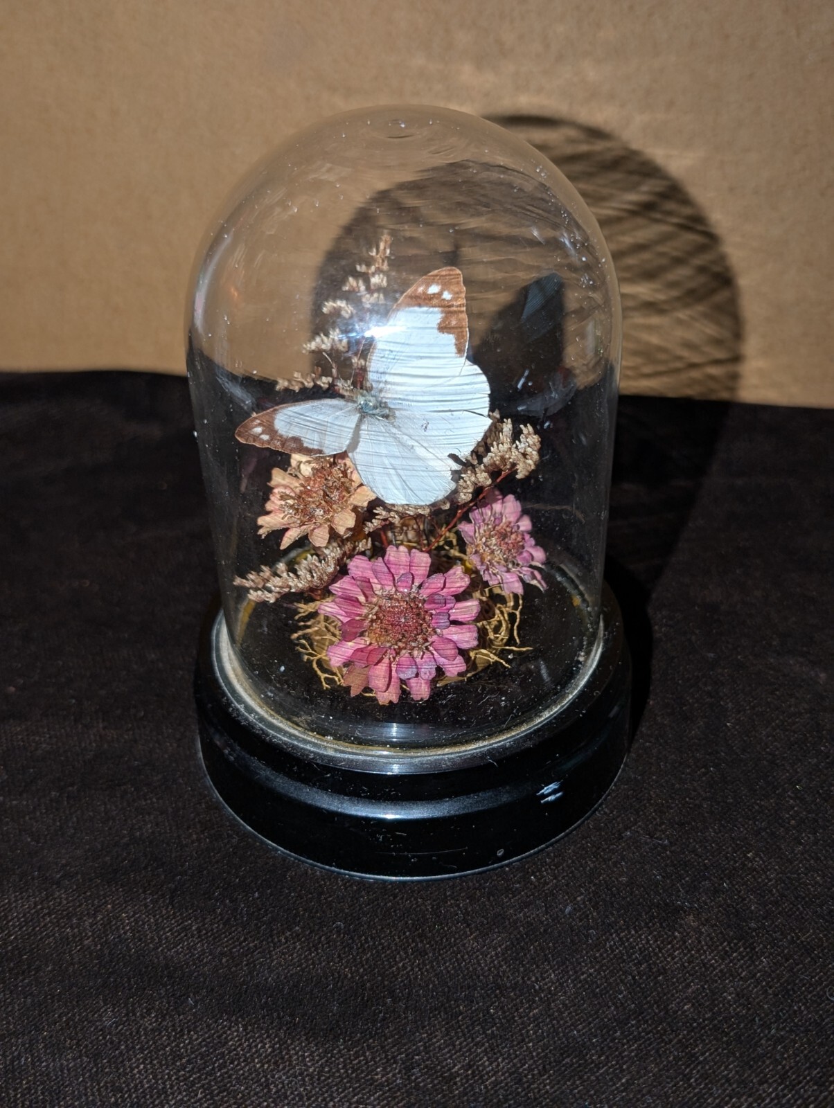 Vintage Glass Dome Butterfly and Flower Arrangement 5in Tall