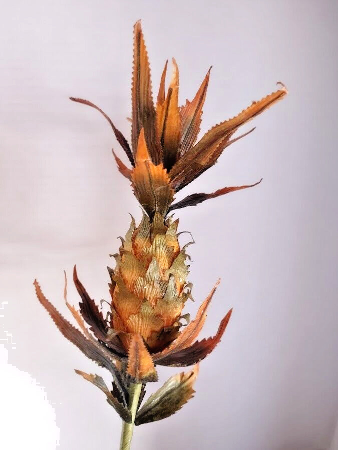 Decorative fall-colored ANANAS (pineapple) flower silk floral stems