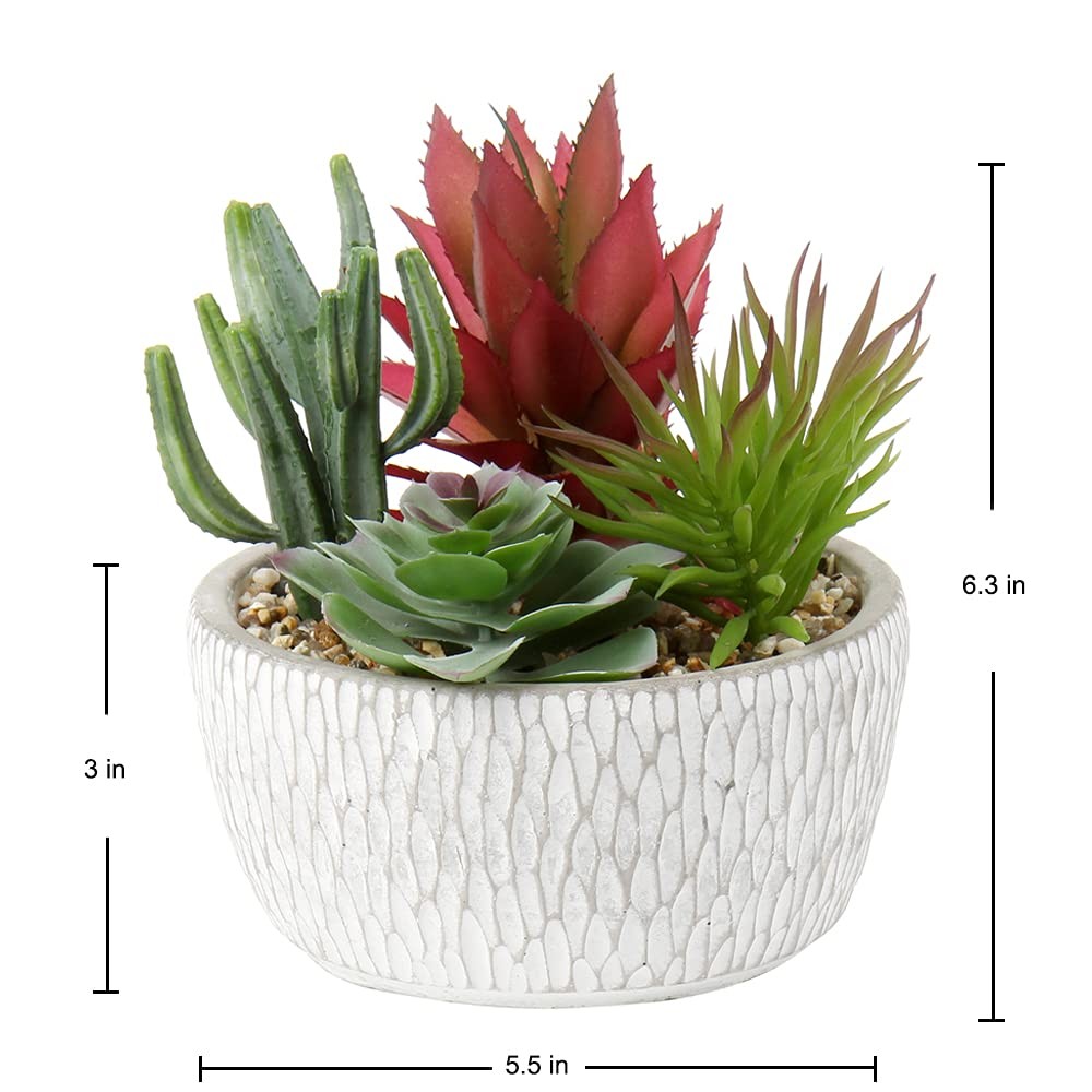 Small Fake Plants Assorted Faux Succulents in Pots Realistic Succulents Plant…