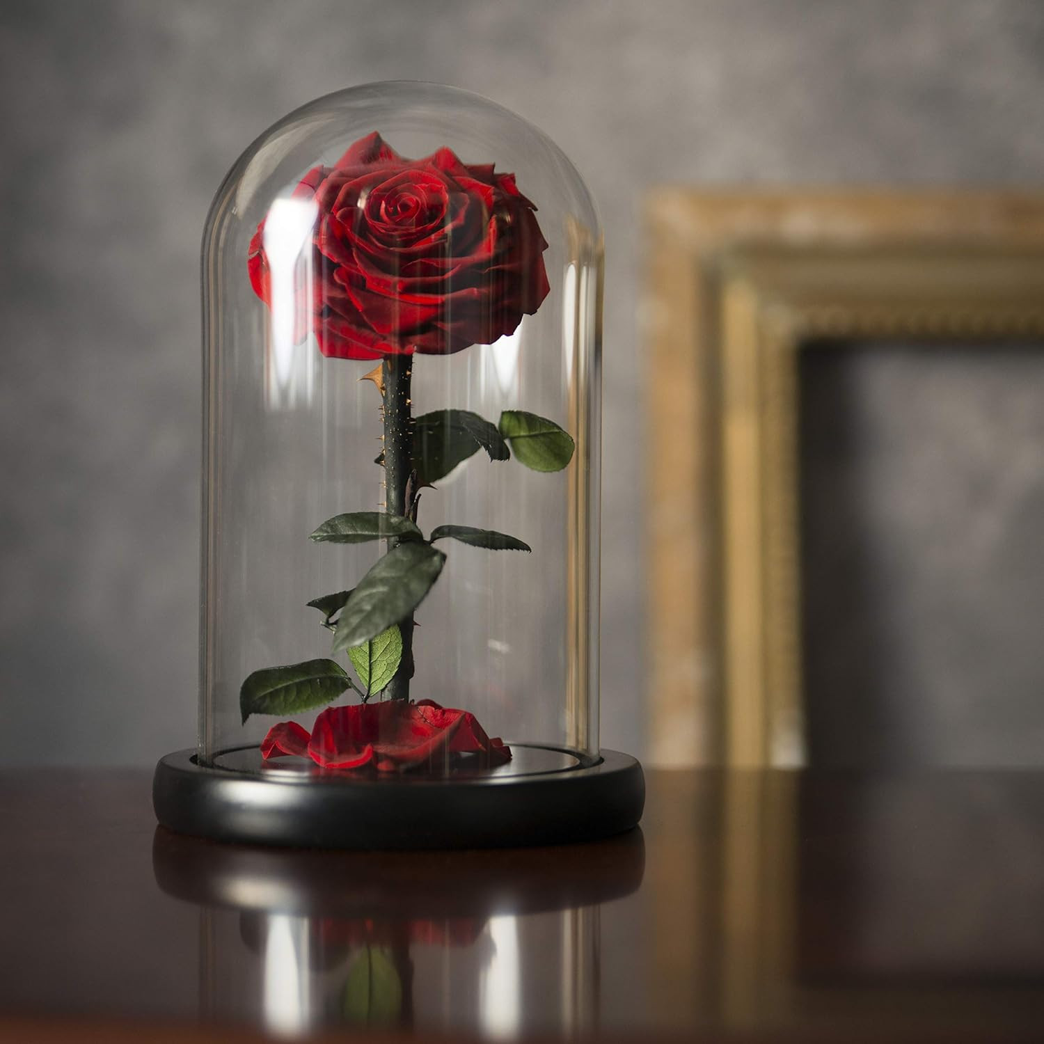 Preserved Forever Rose in Glass Dome for Her – Beauty and The Beast Eternal Rose