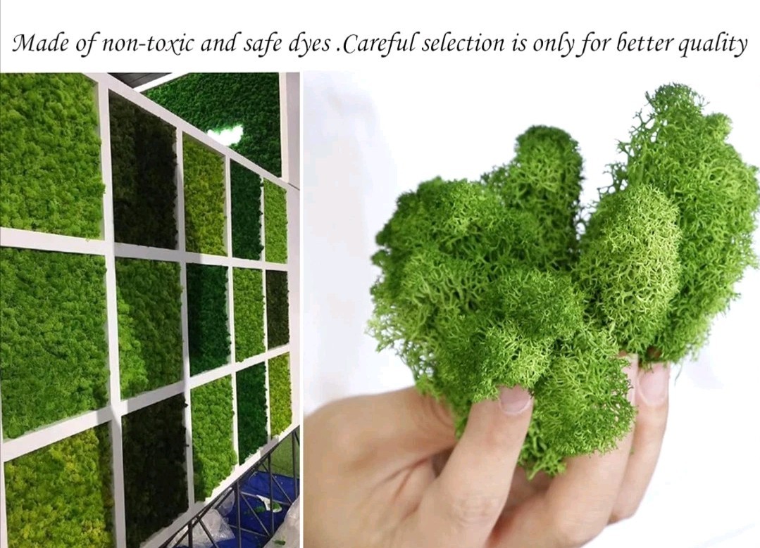 8.8 oz. Natural Preserved Moss for Crafts, Art Projects, etc. Lemon Yellow-Green